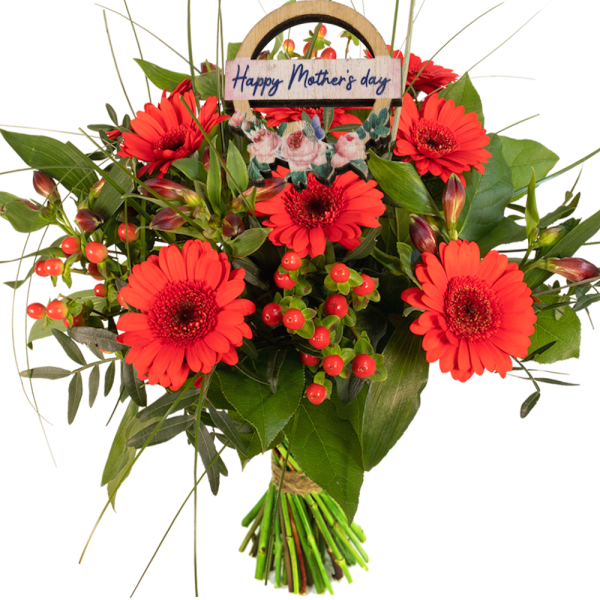 Rood voordeel boeket met bijsteker "Happy mothersday"